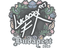 Sticker | Lucaozy | Budapest 2025