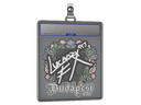 Sticker Slab | Lucaozy | Budapest 2025