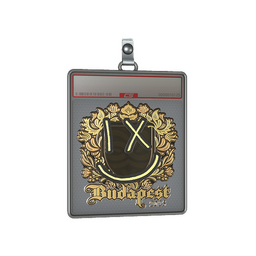 Sticker Slab | lux (Gold) | Budapest 2025