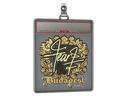 Sticker Slab | fEAR (Gold) | Budapest 2025