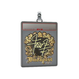 Sticker Slab | fEAR (Gold) | Budapest 2025