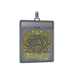 Sticker Slab | FlameZ | Budapest 2025
