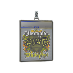 Sticker Slab | FlameZ (Champion) | Budapest 2025