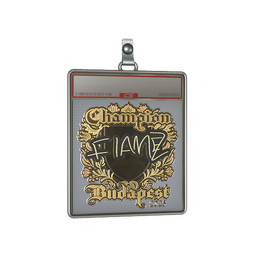 Sticker Slab | FlameZ (Gold, Champion) | Budapest 2025