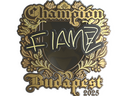 Sticker | FlameZ (Gold, Champion) | Budapest 2025