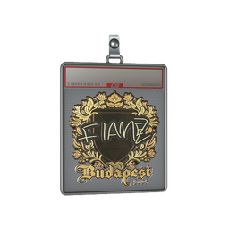 Sticker Slab | FlameZ (Gold) | Budapest 2025