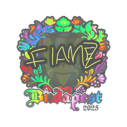 FlameZ (Holo) | Budapest 2025