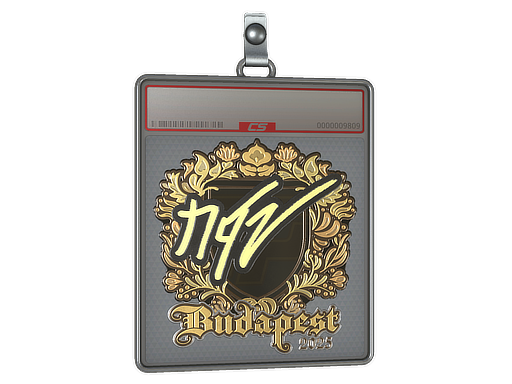 Sticker Slab | NQZ (Gold) | Budapest 2025