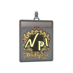 Sticker Slab | npl (Gold) | Budapest 2025