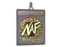 Sticker Slab | NAF (Gold) | Budapest 2025