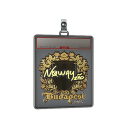 Sticker Slab | noway (Gold) | Budapest 2025