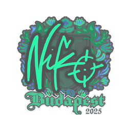 NiKo | Budapest 2025