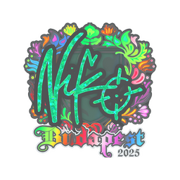 NiKo (Holo) | Budapest 2025
