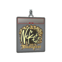 Sticker Slab | NiKo (Gold) | Budapest 2025