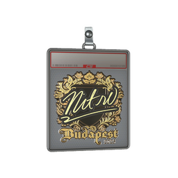 Sticker Slab | nitr0 (Gold) | Budapest 2025