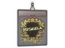 Sticker Slab | Aleksib (Gold) | Budapest 2025