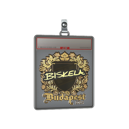 Sticker Slab | Aleksib (Gold) | Budapest 2025