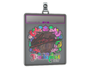 Sticker Slab | Attacker (Holo) | Budapest 2025