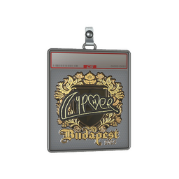 Sticker Slab | Cypher (Gold) | Budapest 2025