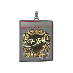Sticker Slab | bodyy (Gold) | Budapest 2025