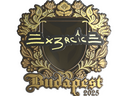 Sticker | Ex3rcice (Gold) | Budapest 2025