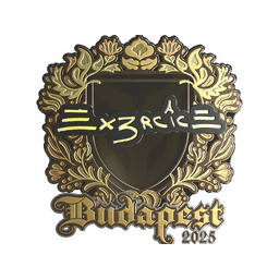 Ex3rcice (Gold) | Budapest 2025