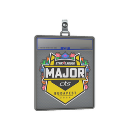 Sticker Slab | StarLadder | Budapest 2025