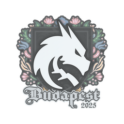 Team Spirit | Budapest 2025