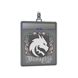 Sticker Slab | Team Spirit | Budapest 2025