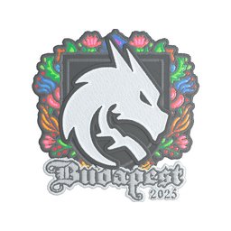 Team Spirit (Embroidered) | Budapest 2025