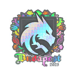 Team Spirit (Holo) | Budapest 2025
