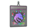 Sticker Slab | Team Spirit (Holo) | Budapest 2025