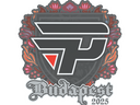 Sticker | paiN Gaming | Budapest 2025