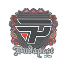 Sticker | paiN Gaming | Budapest 2025