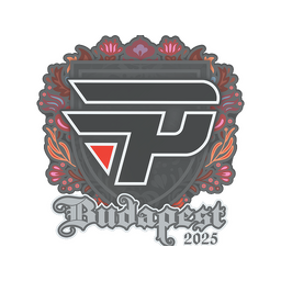 paiN Gaming | Budapest 2025