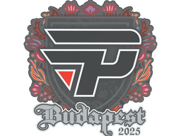 Sticker | paiN Gaming | Budapest 2025