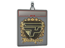 Sticker Slab | paiN Gaming (Gold) | Budapest 2025