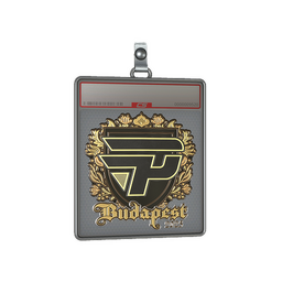 Sticker Slab | paiN Gaming (Gold) | Budapest 2025