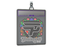 Sticker Slab | paiN Gaming (Embroidered) | Budapest 2025