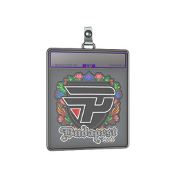 Sticker Slab | paiN Gaming (Embroidered) | Budapest 2025