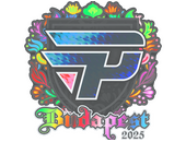 Sticker | paiN Gaming (Holo) | Budapest 2025