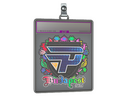 Sticker Slab | paiN Gaming (Holo) | Budapest 2025