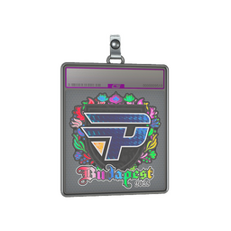 Sticker Slab | paiN Gaming (Holo) | Budapest 2025