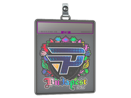 Sticker Slab | paiN Gaming (Holo) | Budapest 2025