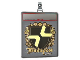 Sticker Slab | PARIVISION (Gold) | Budapest 2025