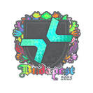 Sticker | PARIVISION (Holo) | Budapest 2025