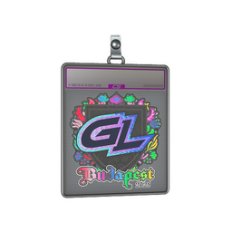 Sticker Slab | GamerLegion (Holo) | Budapest 2025