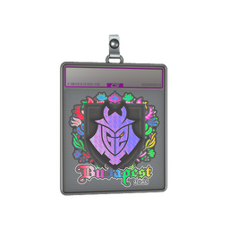 Sticker Slab | G2 esports (Holo) | Budapest 2025