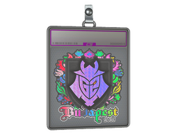 Sticker Slab | G2 esports (Holo) | Budapest 2025