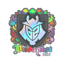 Sticker | G2 esports (Holo) | Budapest 2025
